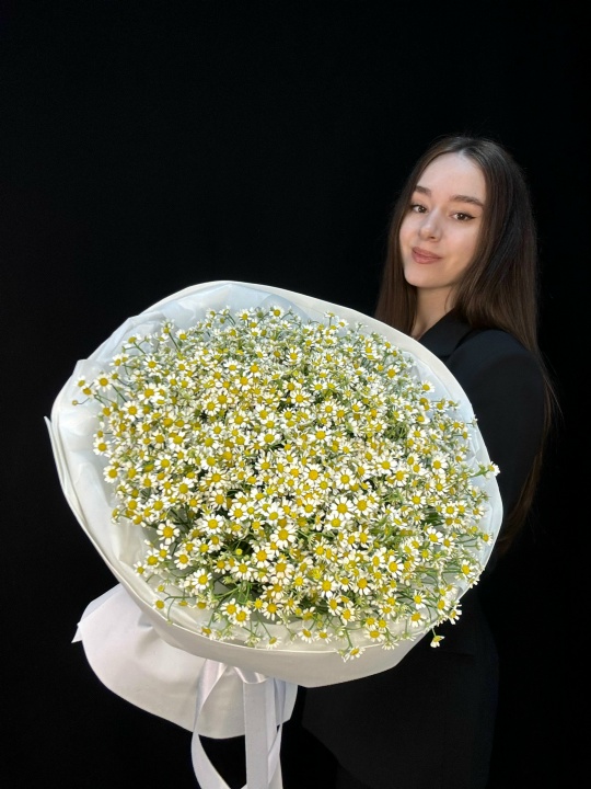 Букет из матрикарии (полевые ромашки) 51 шт